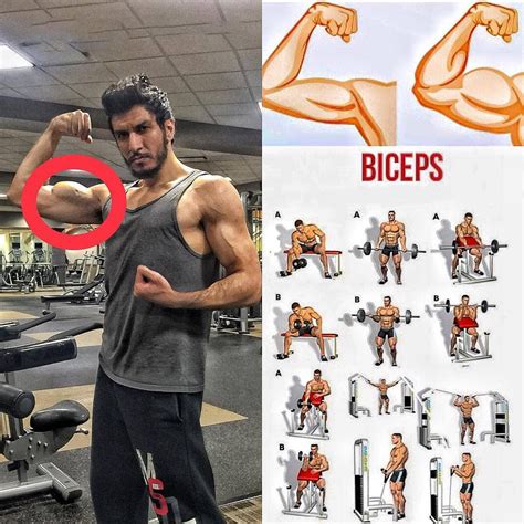Exercise 3: High Cable Curls* & Close-Grip EZ Bar Curls ... *Each exercise is performed as a superset, one after the other with no rest. ... The high cable curls is ...